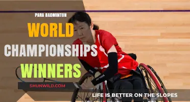 Badminton World Championships: Para Winners Recap