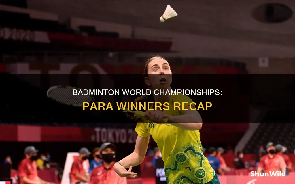 para badminton world championships winners