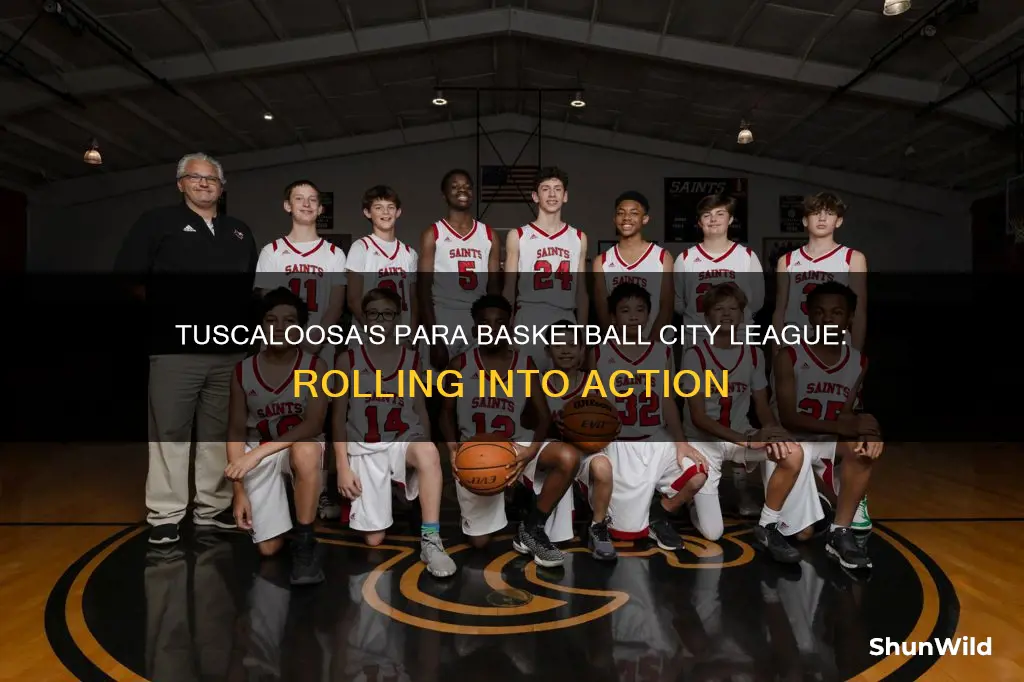 para basketball city league tuscaloosa