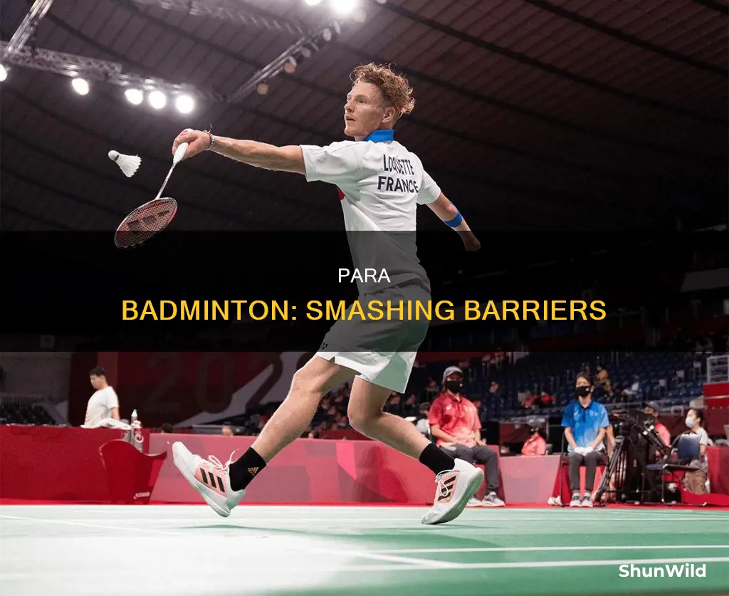 para world badminton