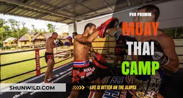 Discover the Ultimate Training Experience at Por Promin Muay Thai Camp