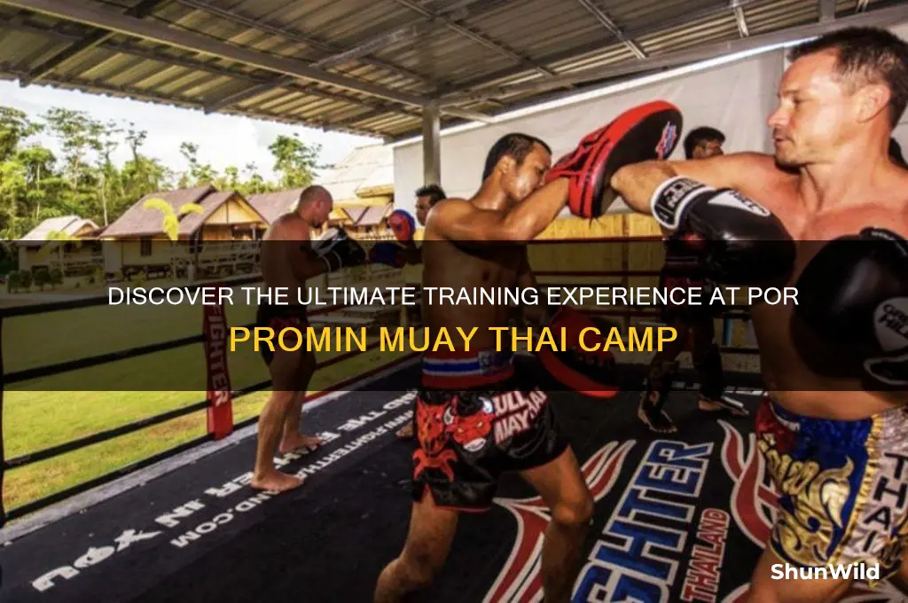 por promin muay thai camp