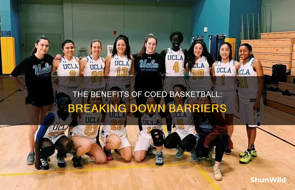 should basketball be coed