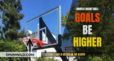 Raising the Bar: Should Basketball Goals Be Higher?