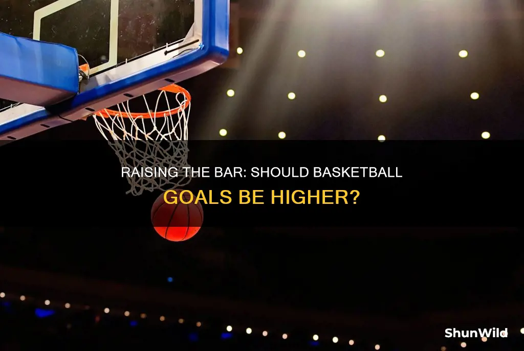 should basketball goals be higher