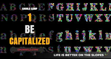 Capitalizing Camp 1: Grammar Rules and Style Guide Essentials