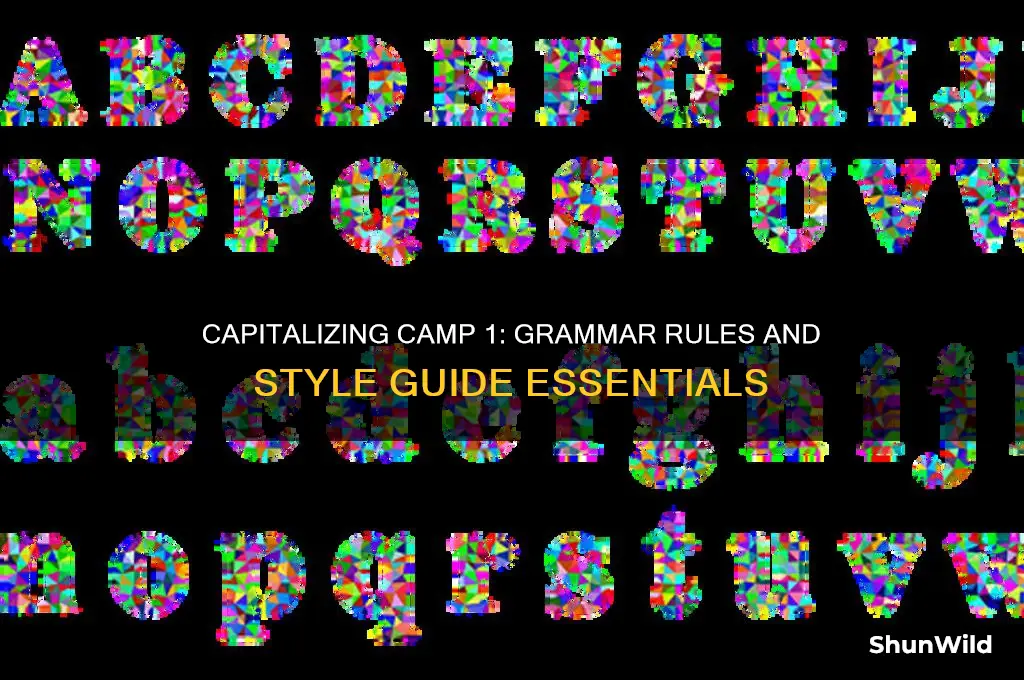 should camp 1 be capitalized