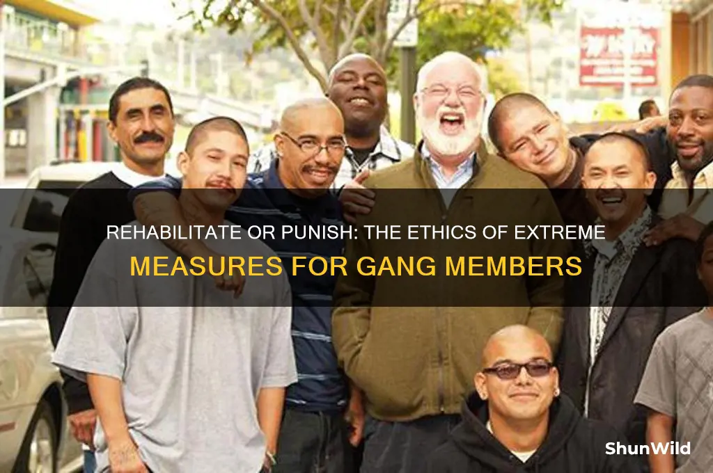 should gangbangers be sent to concentration camps