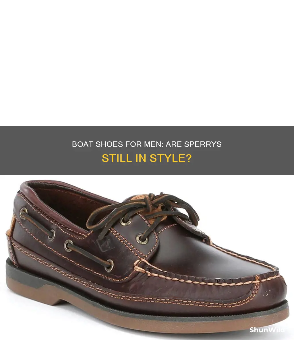 should grown men wear sperry boat shoes