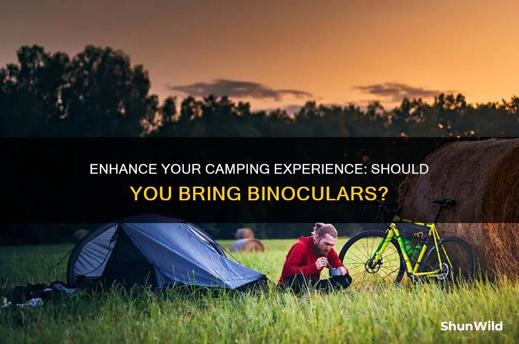 should i bring binoculars camping