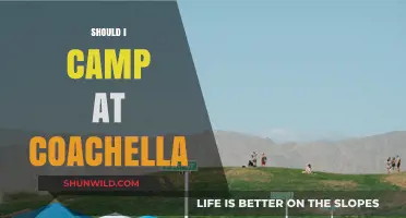 Should You Camp at Coachella? Pros, Cons, and Tips for Festival-Goers