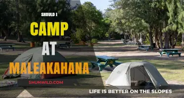 Should You Camp at Maleakahana? Pros, Cons, and Tips for Your Trip