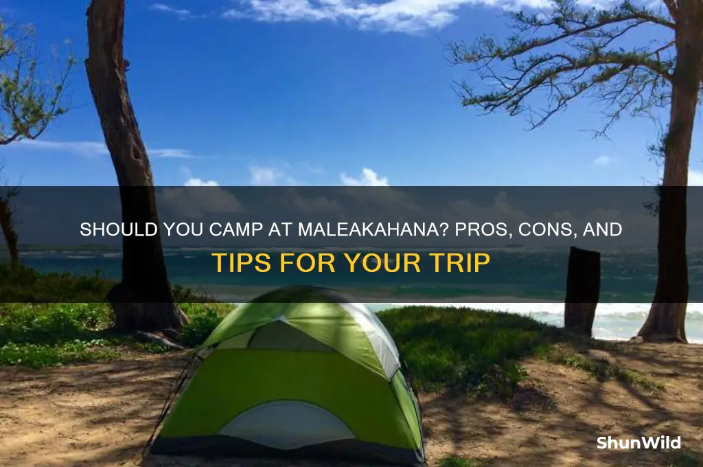 should i camp at maleakahana