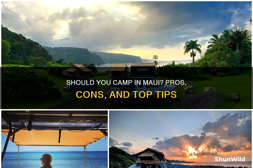 should i camp in maui