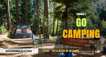Should I Go Camping? Pros, Cons, and Tips for First-Timers