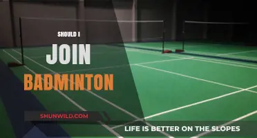 Badminton: Should You Take Up This Sport?