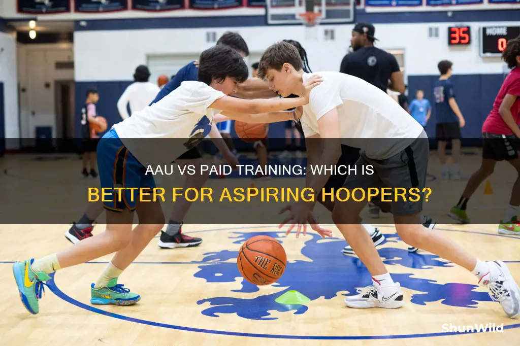 should i pay for basketball training or aau basketball