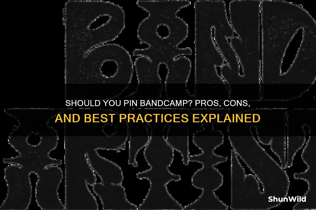 should i pin band camp