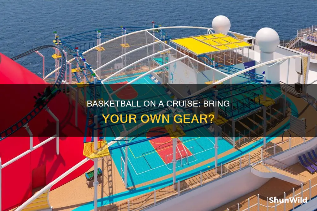 should i take my own basketball on a cruise ship