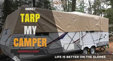 Should You Tarp Your Camper? Pros, Cons, and Best Practices