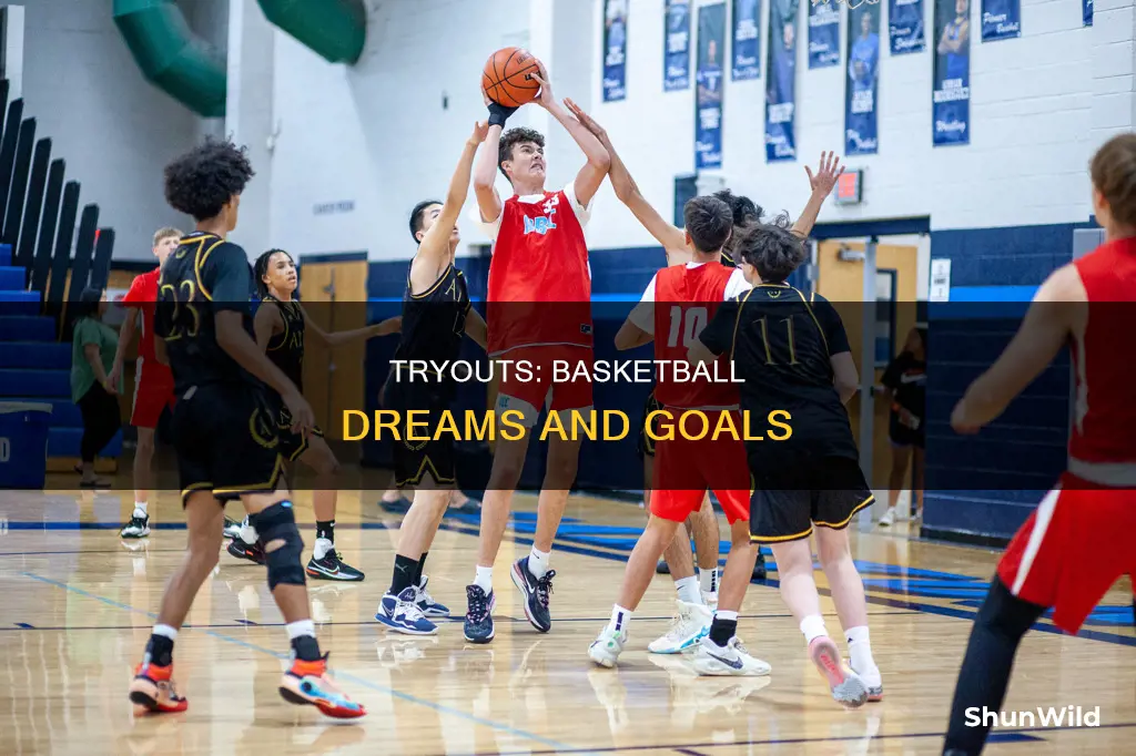 should i tryout for basketball