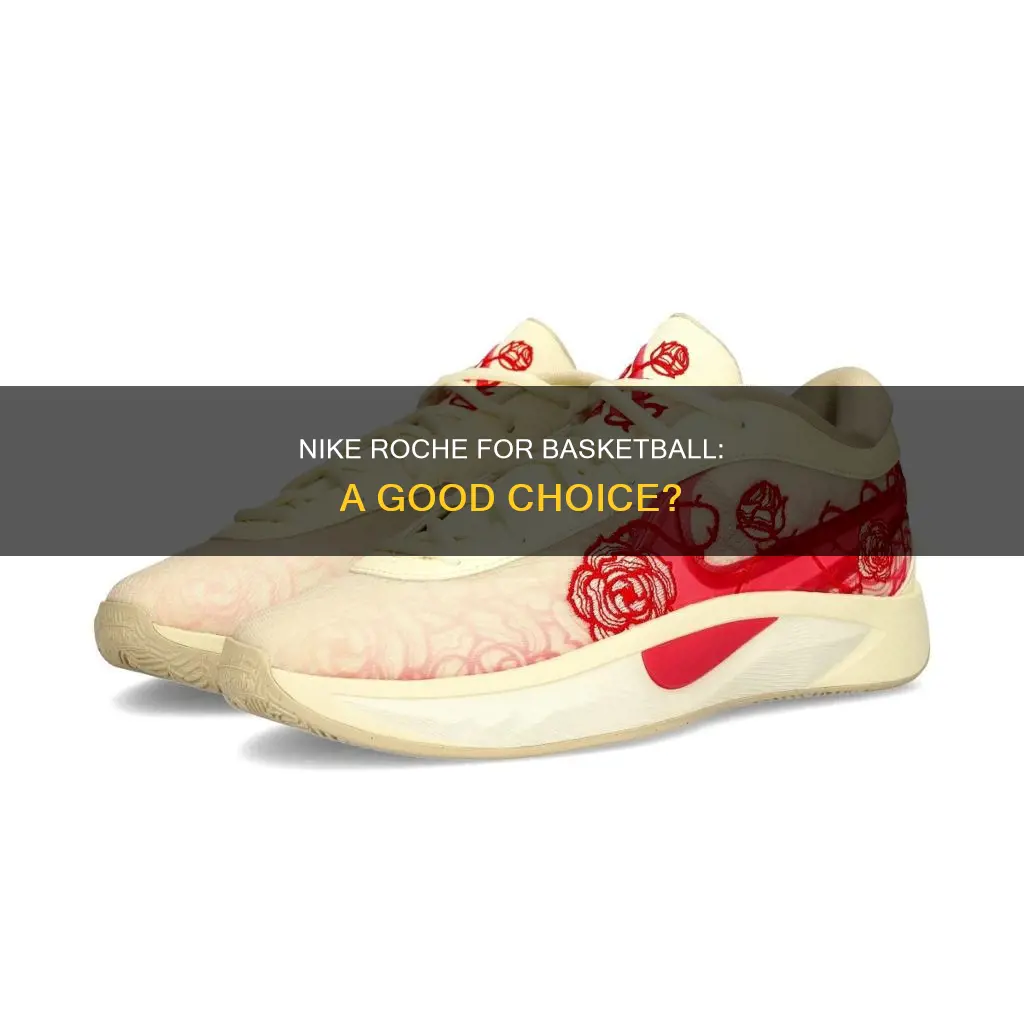 should i use nike roche for basketball