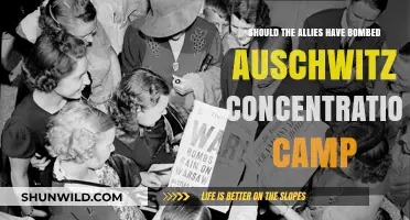 Should the Allies Have Bombed Auschwitz? A Moral Dilemma