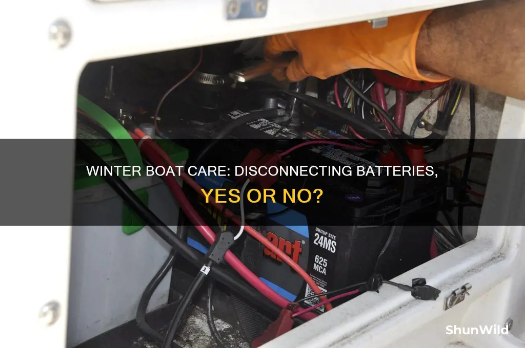 should the boat battery be disconnect during winter