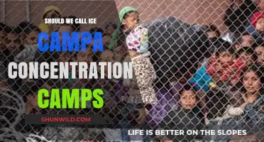 ICE Detention Centers: Are They Modern-Day Concentration Camps?