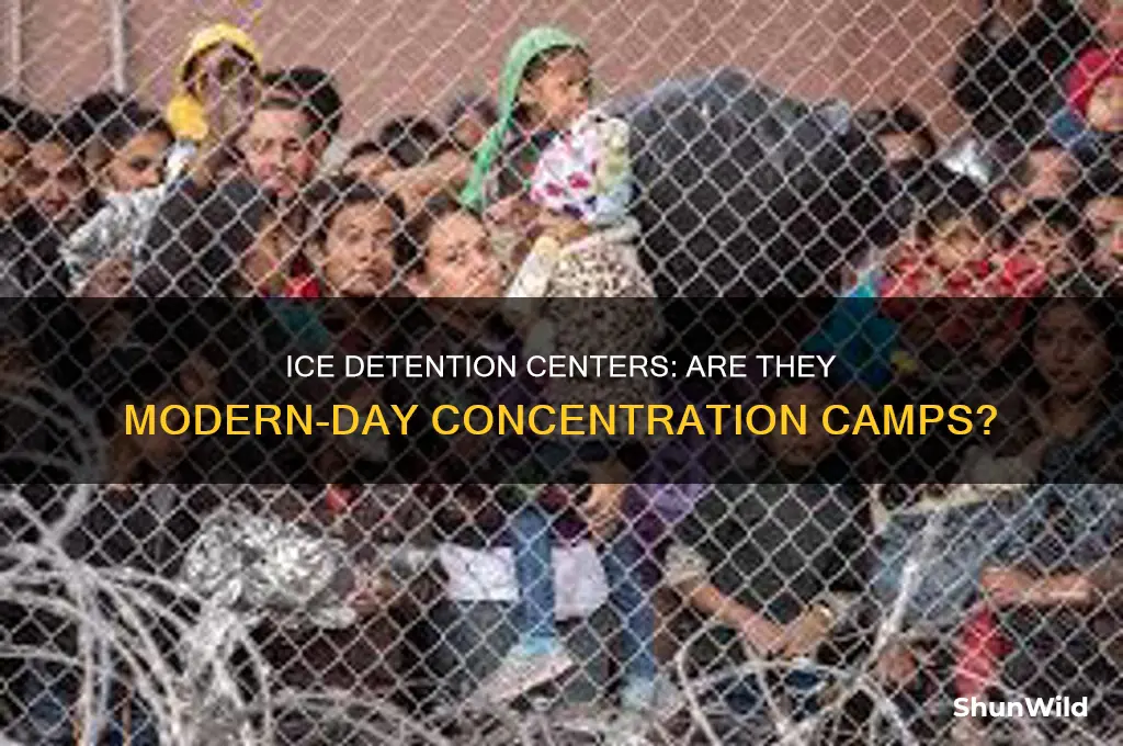 should we call ice campa concentration camps