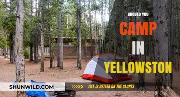 Should You Camp in Yellowstone? Pros, Cons, and Essential Tips