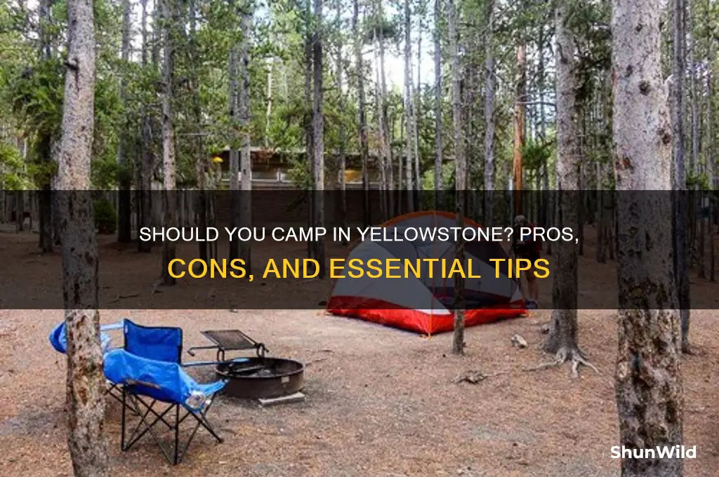 should you camp in yellowston