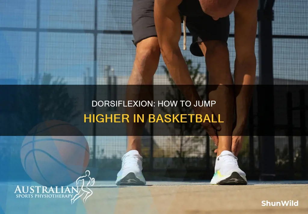should you dorsiflexion during basketball