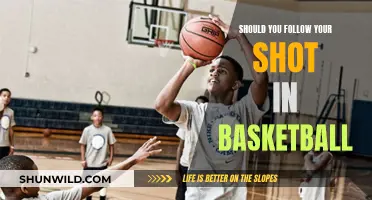 The Art of the Shot: When to Stick or Switch in Basketball