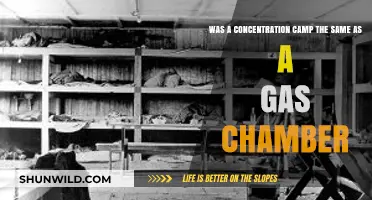 Concentration Camps vs. Gas Chambers: Understanding the Holocaust's Dark Tools