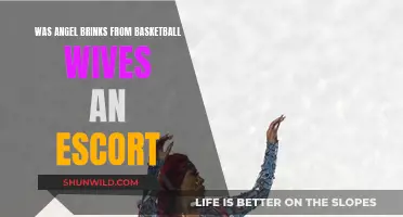 Angel Brinks: Basketball Wives Star and Her Rumored Past