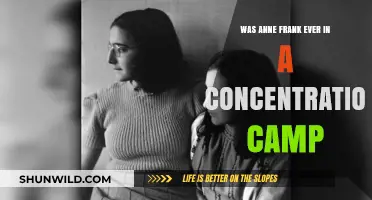 Anne Frank's Fate: Did She Endure a Concentration Camp?