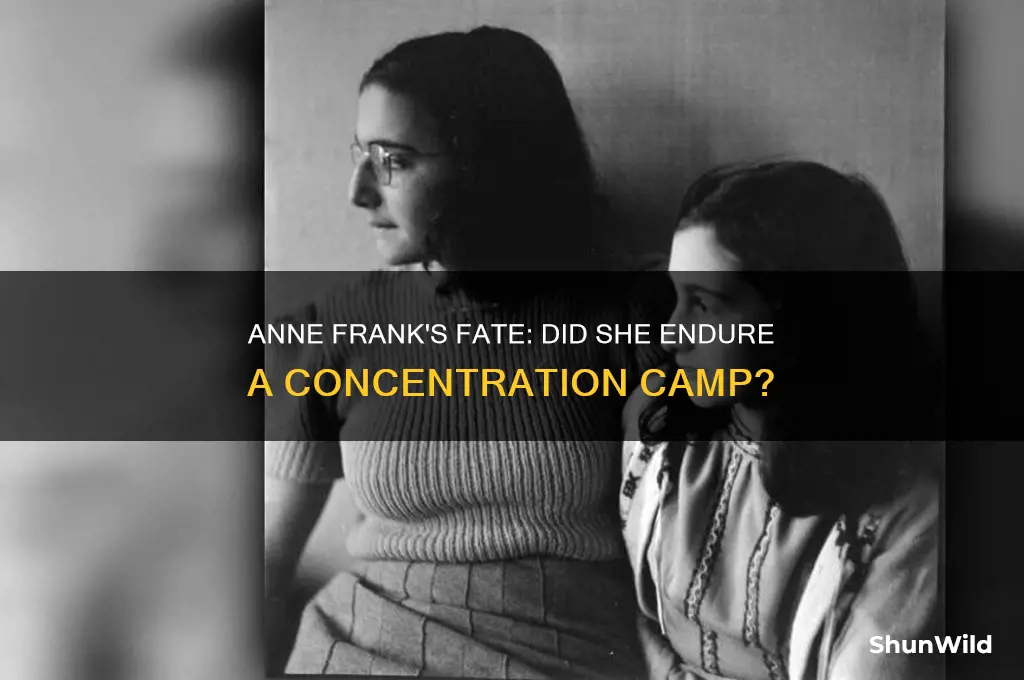 was anne frank ever in a concentration camp