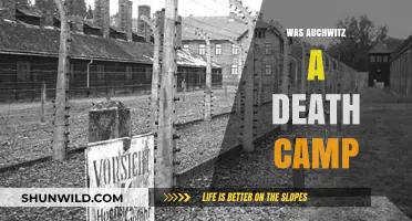 Auschwitz: Uncovering the Truth About Its Role as a Death Camp