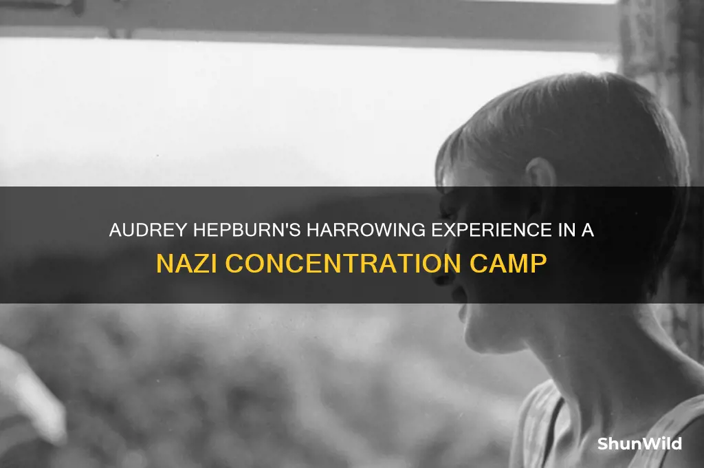 was audrey hepburn in a concentration camp