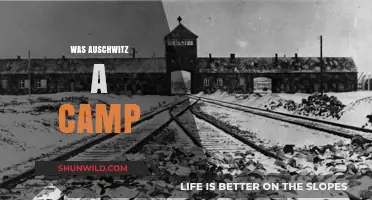 Auschwitz: Understanding Its Role as a Concentration and Death Camp