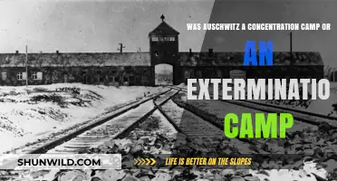 Auschwitz: Concentration Camp, Extermination Camp, or Both?