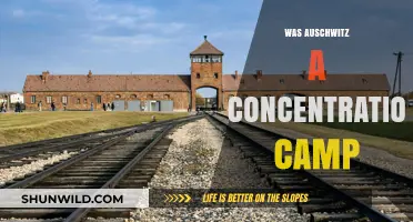 Auschwitz: Unveiling the Truth About Its Role as a Concentration Camp