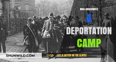 Auschwitz: Deportation Camp or Extermination Hub? Unraveling the Truth