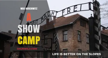 Auschwitz: A Show Camp or a Horrific Reality?