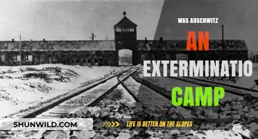 Auschwitz: Extermination Camp or Forced Labor Center? Uncovering the Truth