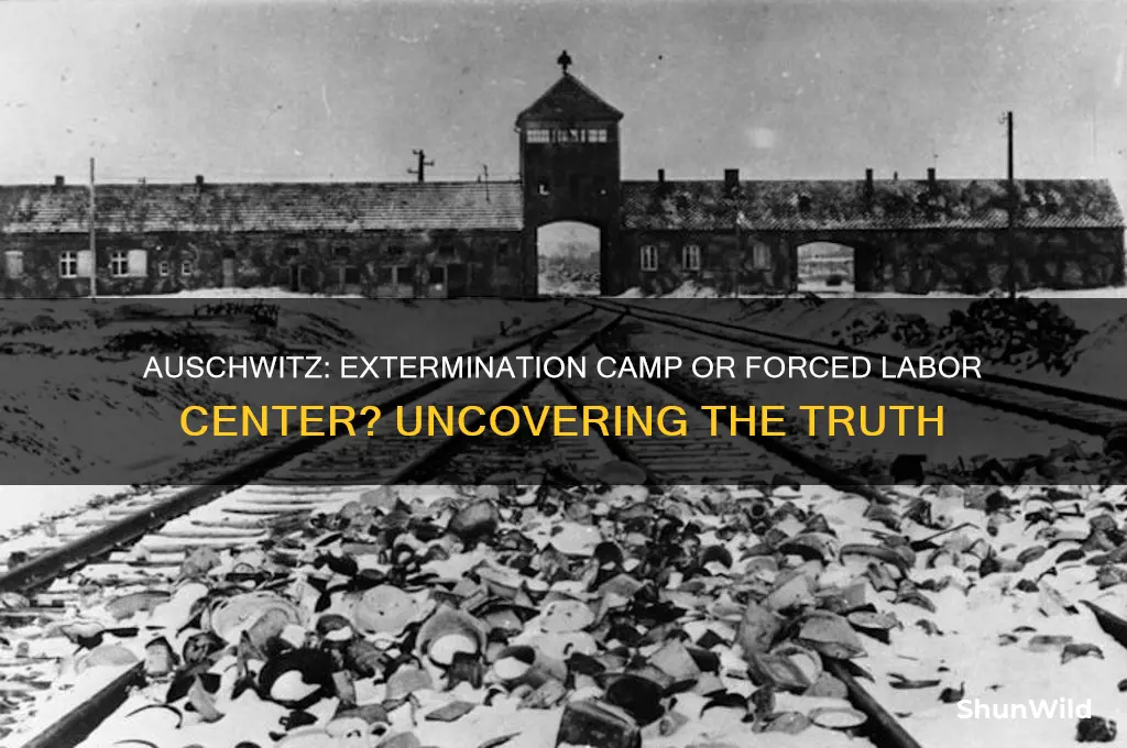 was auschwitz an extermination camp