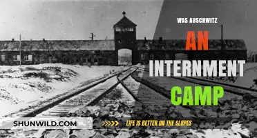 Auschwitz: Internment Camp or Extermination Center? Unraveling the Truth