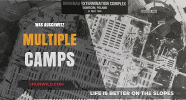 Auschwitz Complex: Unraveling the Network of Multiple Camps and Functions