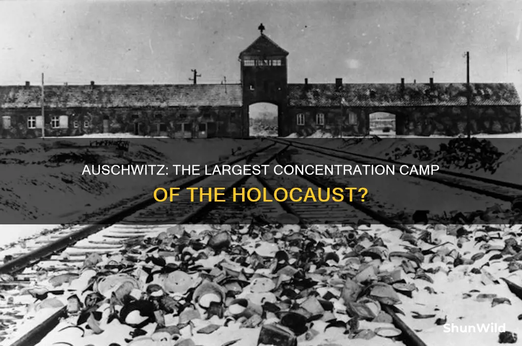 was auschwitz the biggest concentration camp